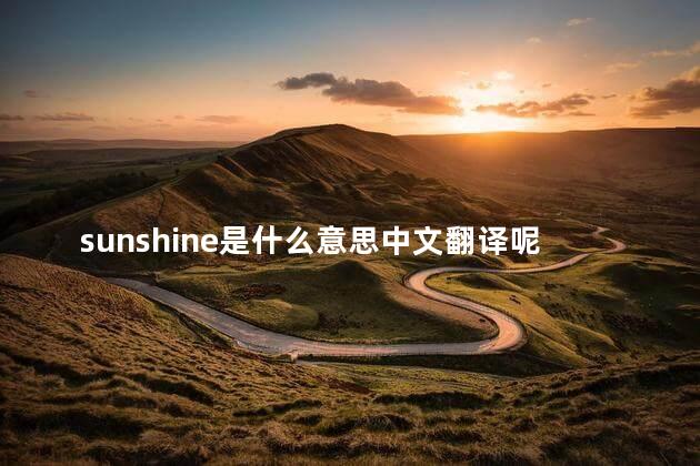 sunshine是什么意思中文翻译呢