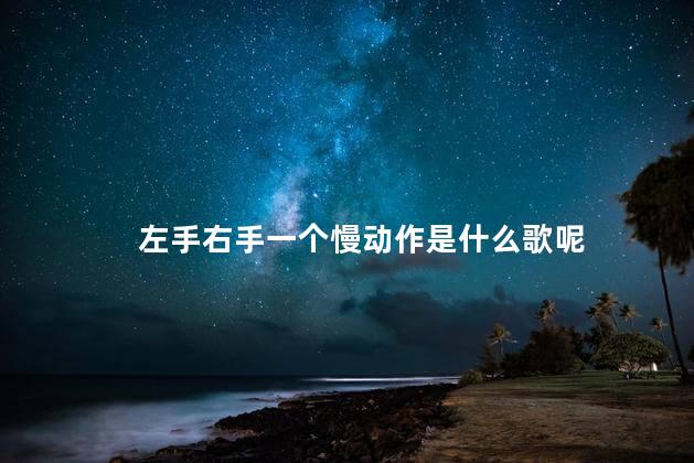 左手右手一个慢动作是什么歌呢
