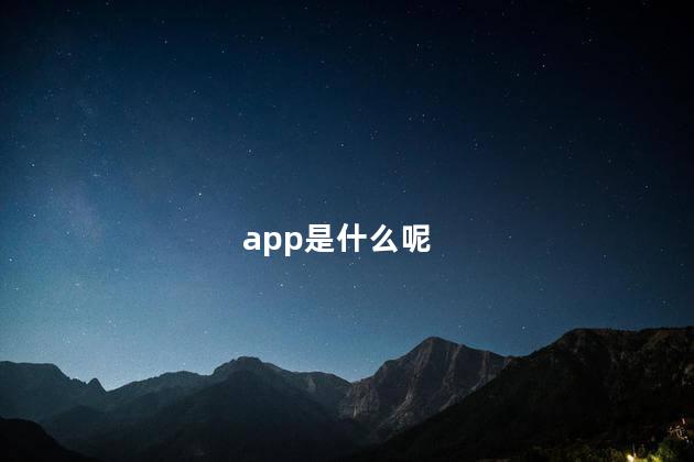 app是什么呢