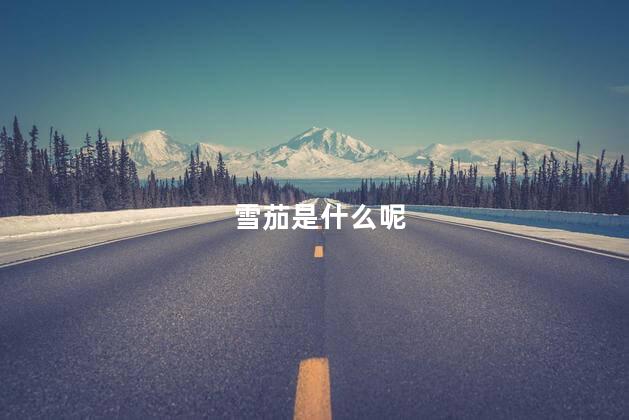 雪茄是什么呢