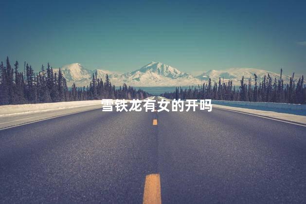 雪铁龙有女的开吗