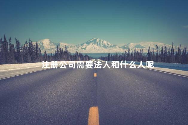 注册公司需要法人和什么人呢