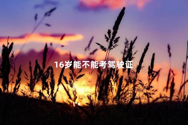 16岁能不能考驾驶证