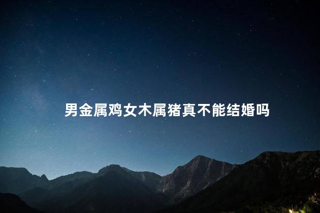 男金属鸡女木属猪真不能结婚吗