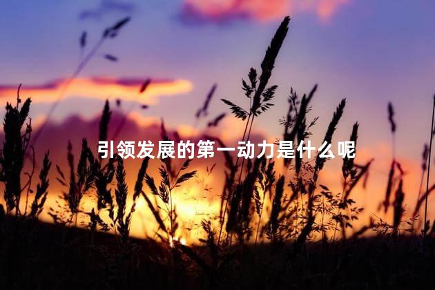 引领发展的第一动力是什么呢