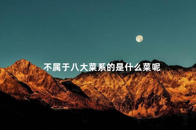 不属于八大菜系的是什么菜呢