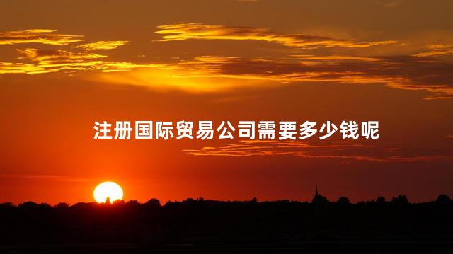 注册国际贸易公司需要多少钱呢