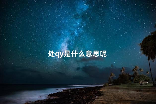 处qy是什么意思呢