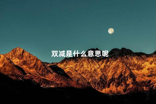双减是什么意思呢