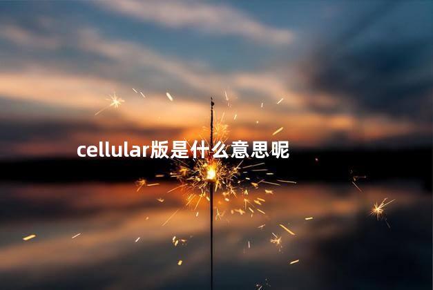 cellular版是什么意思呢 ipadcellular版