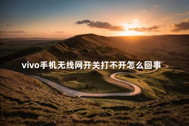 vivo手机无线网开关打不开怎么回事，vivo手机无线网连上不能用怎么回事
