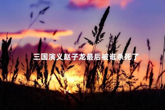 三国演义赵子龙最后被谁杀死了，三国赵云活了多少岁