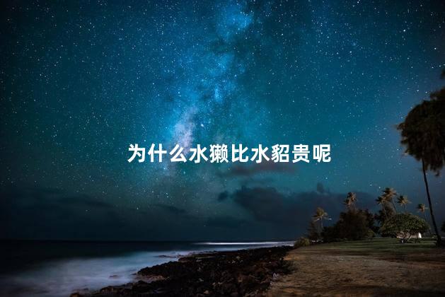 为什么水獭比水貂贵呢，水獭比水貂贵的原因