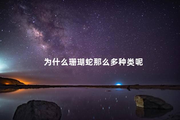 为什么珊瑚蛇那么多种类呢，珊瑚蛇的种类