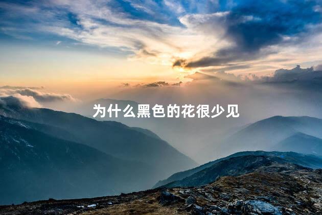 为什么黑色的花很少见，黑色的花少见原因是什么