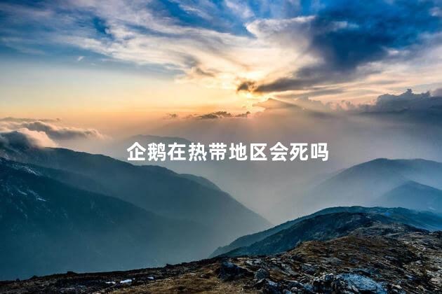 企鹅在热带地区会死吗，企鹅分布在哪里