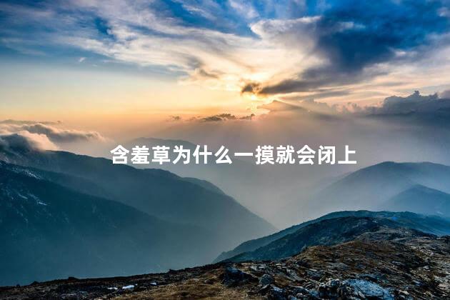 含羞草为什么一摸就会闭上，含羞草为什么被碰到就会闭起来