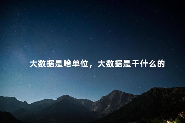 大数据是啥单位，大数据是干什么的