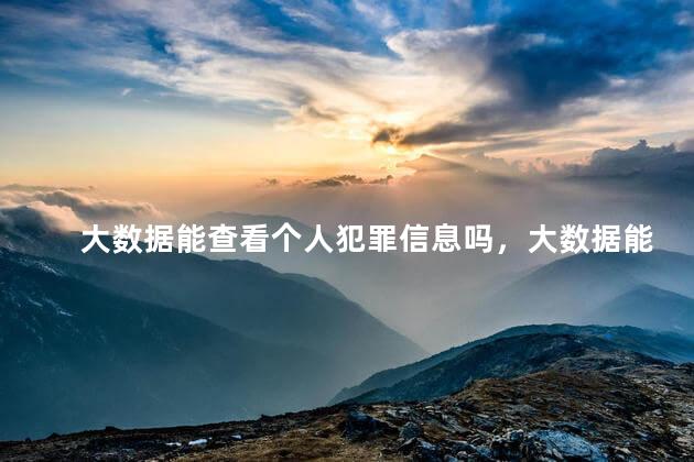 大数据能查看个人犯罪信息吗，大数据能不能查到案底