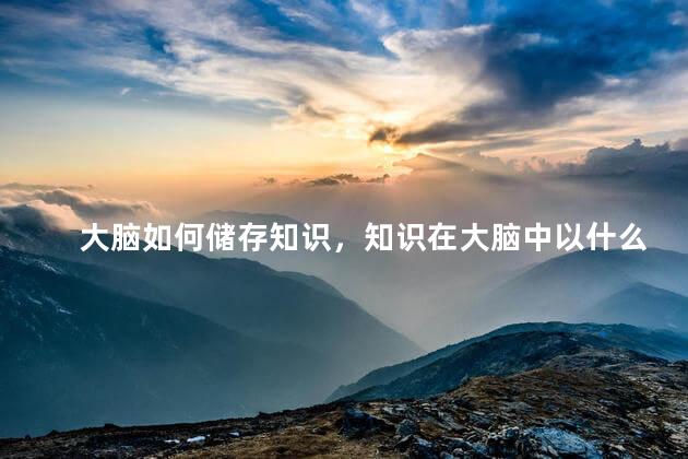 大脑如何储存知识，知识在大脑中以什么形式存在