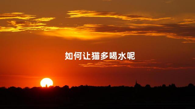 如何让猫多喝水呢，让猫咪多喝水的技巧