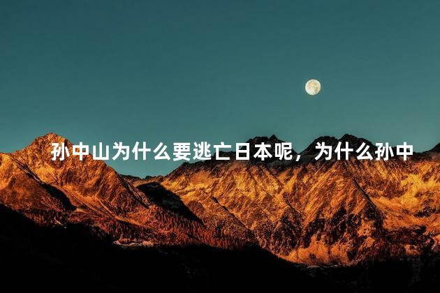 孙中山为什么要逃亡日本呢，为什么孙中山要逃亡日本