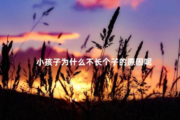 小孩子为什么不长个子的原因呢，宝宝不长高是什么原因