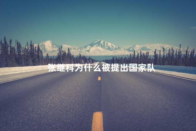 张继科为什么被提出国家队，张继科为啥退出国家队