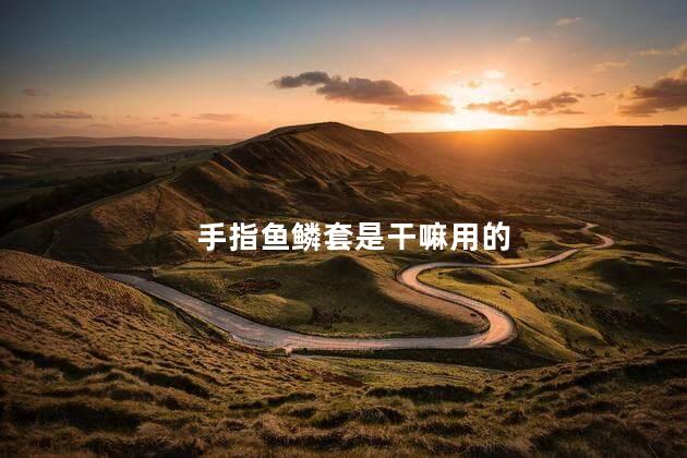 手指鱼鳞套是干嘛用的,什么是手指鱼鳞套