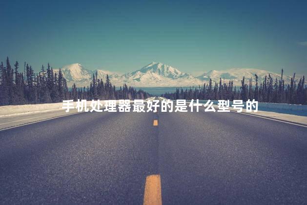 手机处理器最好的是什么型号的，手机骁龙处理器排行