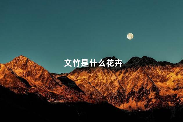 文竹是什么花卉，文竹是什么样的植物