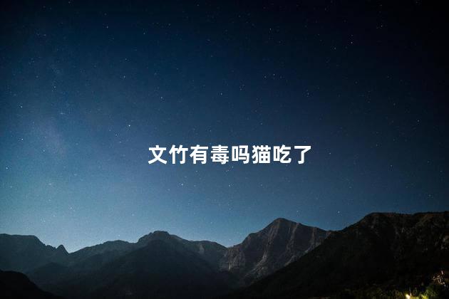 文竹有毒吗猫吃了，猫吃文竹会中毒吗