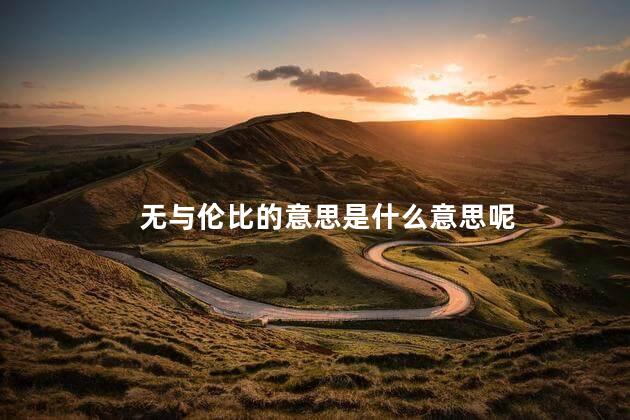 无与伦比的意思是什么意思呢 无与伦比的近义词