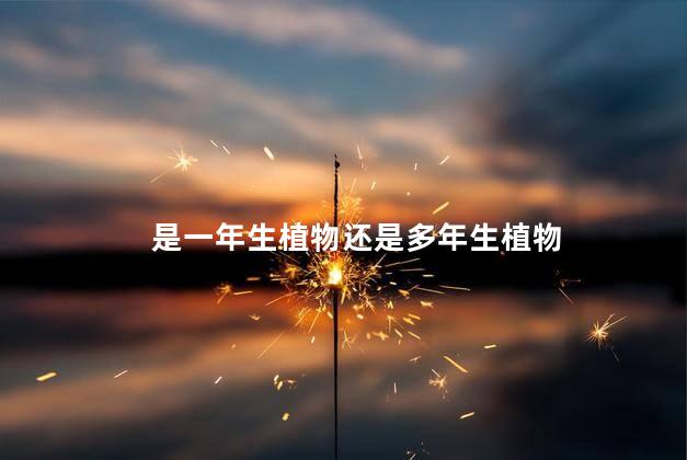 是一年生植物还是多年生植物，矮牵牛是多年生植物吗