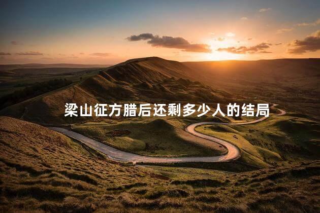 梁山征方腊后还剩多少人的结局，梁山征方腊后还剩多少兵力