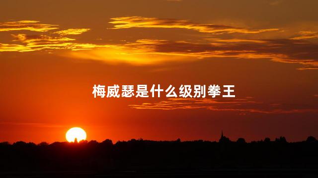 梅威瑟是什么级别拳王，梅威瑟是拳王吗