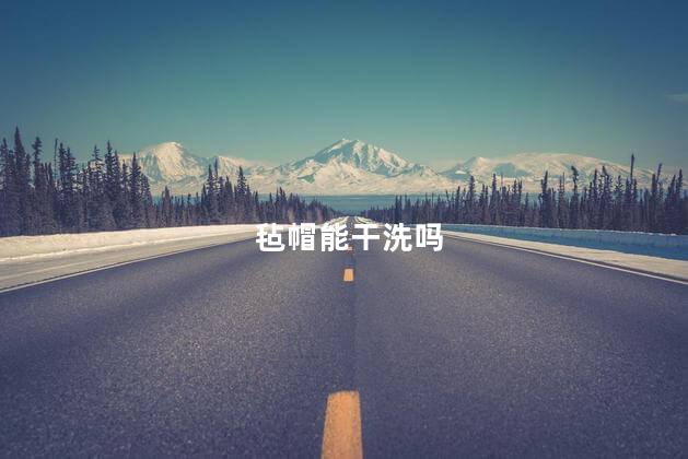 毡帽能干洗吗，毡帽能不能干洗