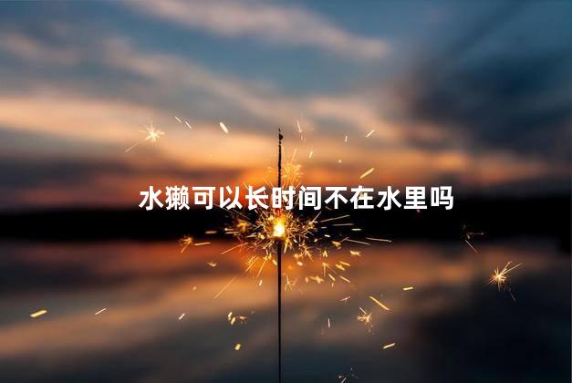 水獭可以长时间不在水里吗，水獭能离开水吗