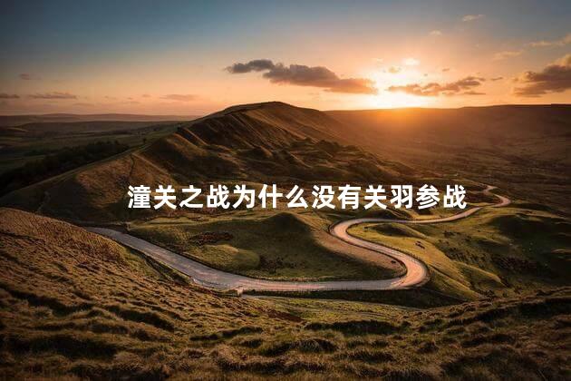 潼关之战为什么没有关羽参战，潼关之战关羽为什么没有参战
