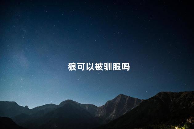 狼可以被驯服吗，救了狼真的会报恩吗