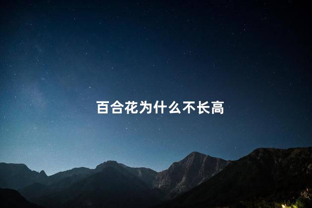 百合花为什么不长高，百合花不长高的原因
