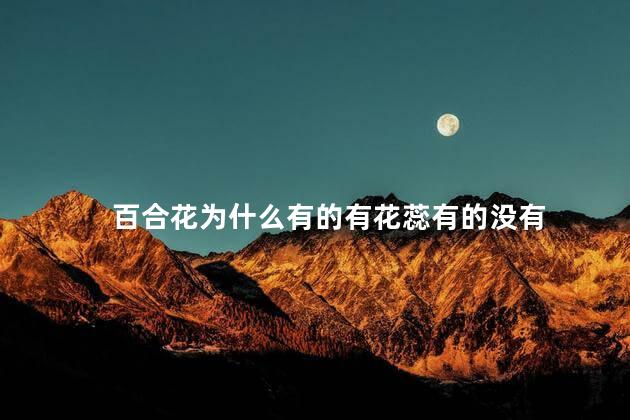 百合花为什么有的有花蕊有的没有，为什么百合有的有花蕊有的没呢