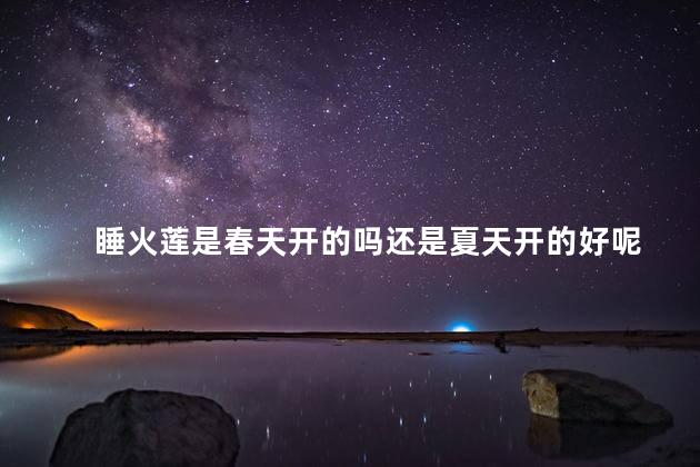 睡火莲是春天开的吗还是夏天开的好呢，睡火莲是春天还是夏天开花好呢