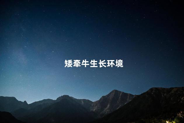 矮牵牛生长环境,矮牵牛生长温度