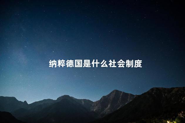 纳粹德国是什么社会制度，纳粹德国是社会还是资本  
