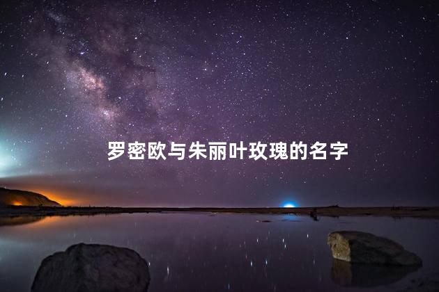 罗密欧与朱丽叶玫瑰的名字，罗密欧和朱丽叶