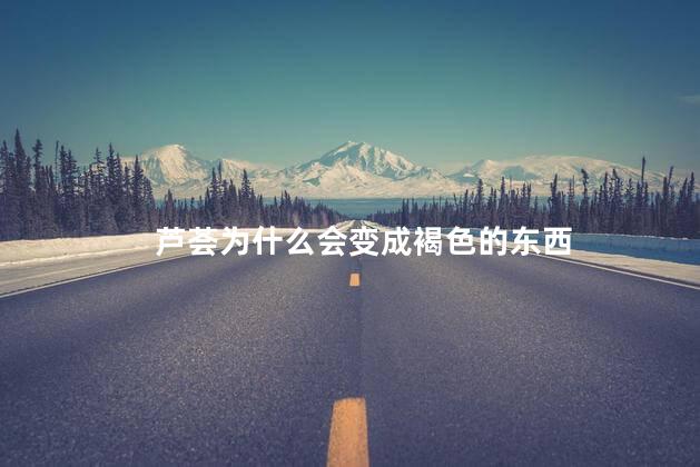 芦荟为什么会变成褐色的东西，芦荟变褐色的原因
