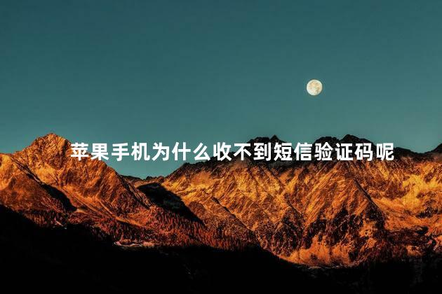 苹果手机为什么收不到短信验证码呢，苹果手机收不到验证码怎么恢复
