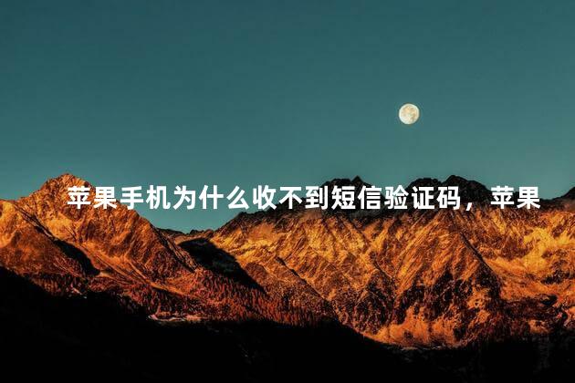 苹果手机为什么收不到短信验证码，苹果手机收不到短信验证码是什么情况