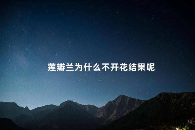 莲瓣兰为什么不开花结果呢，莲瓣兰不开花结果是什么原因
